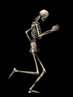 skeletz.gif